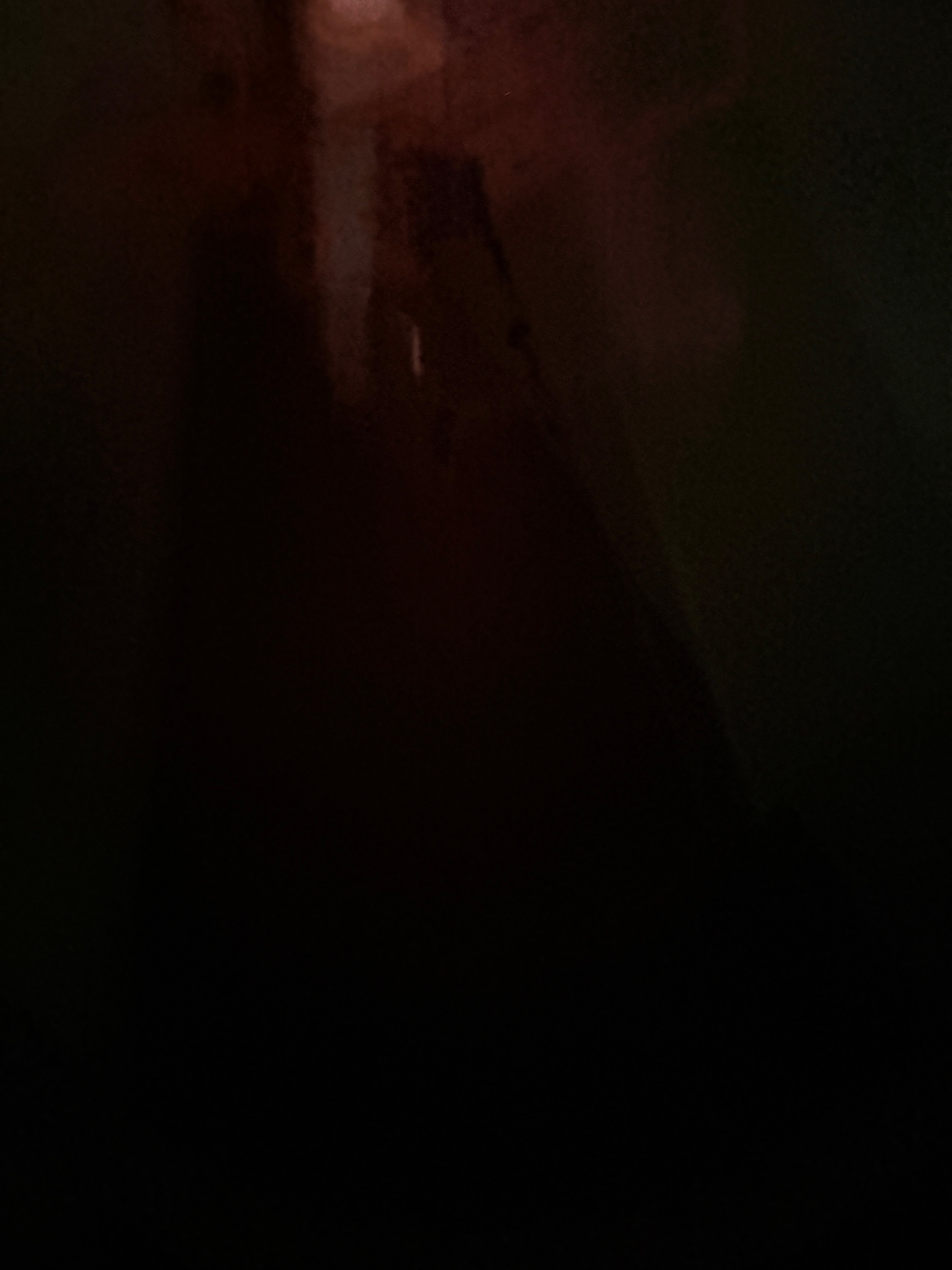 IMG_7873.jpeg