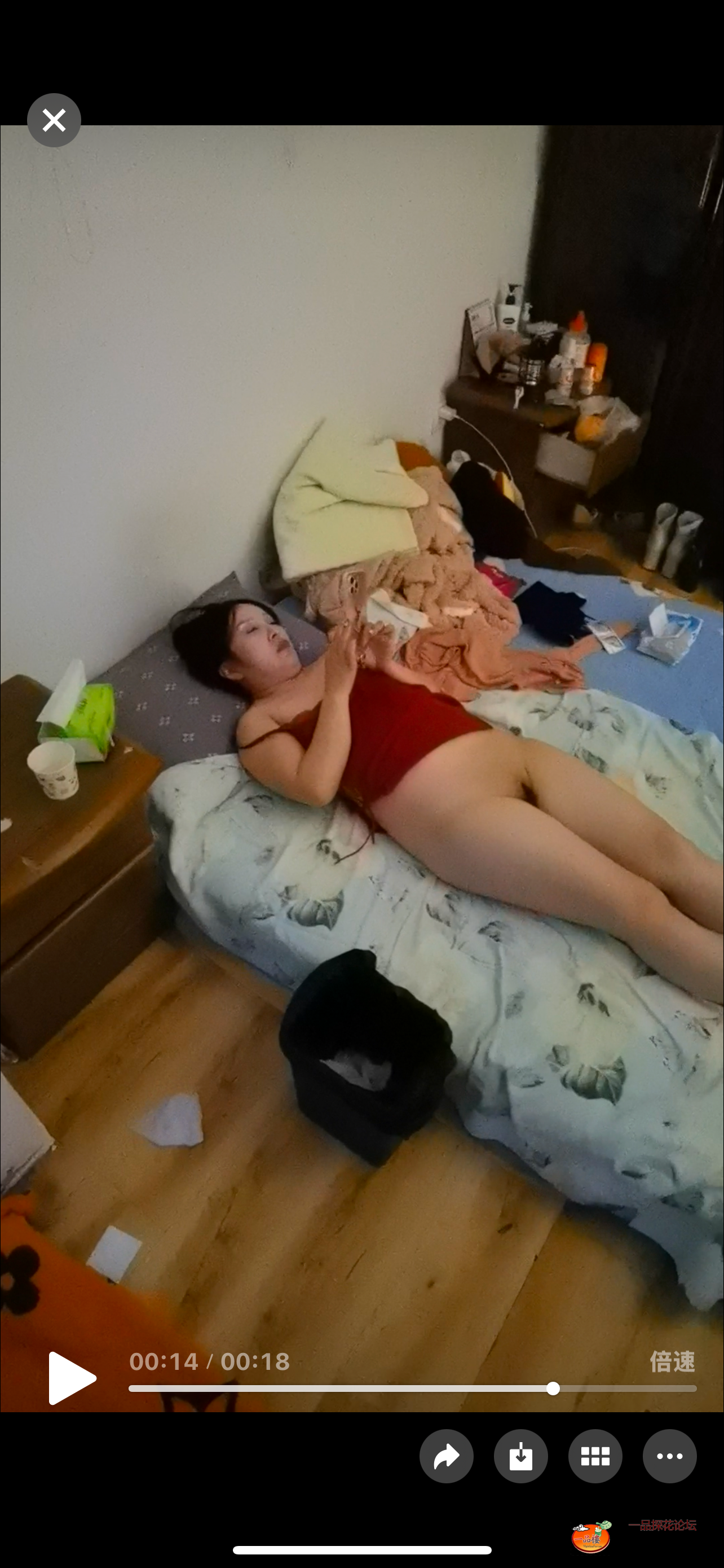 IMG_3117.png