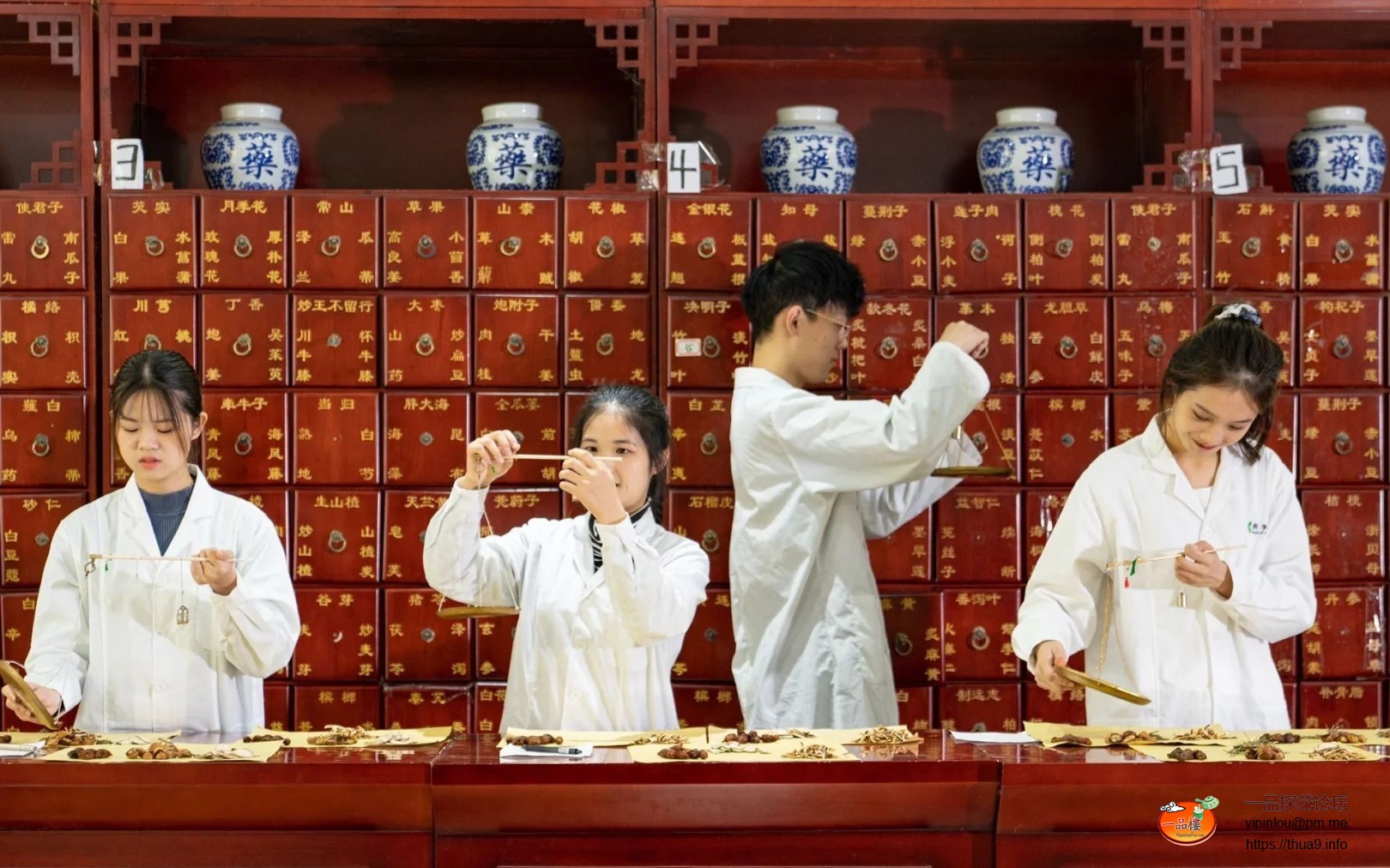 大家以为的中药课.jpg