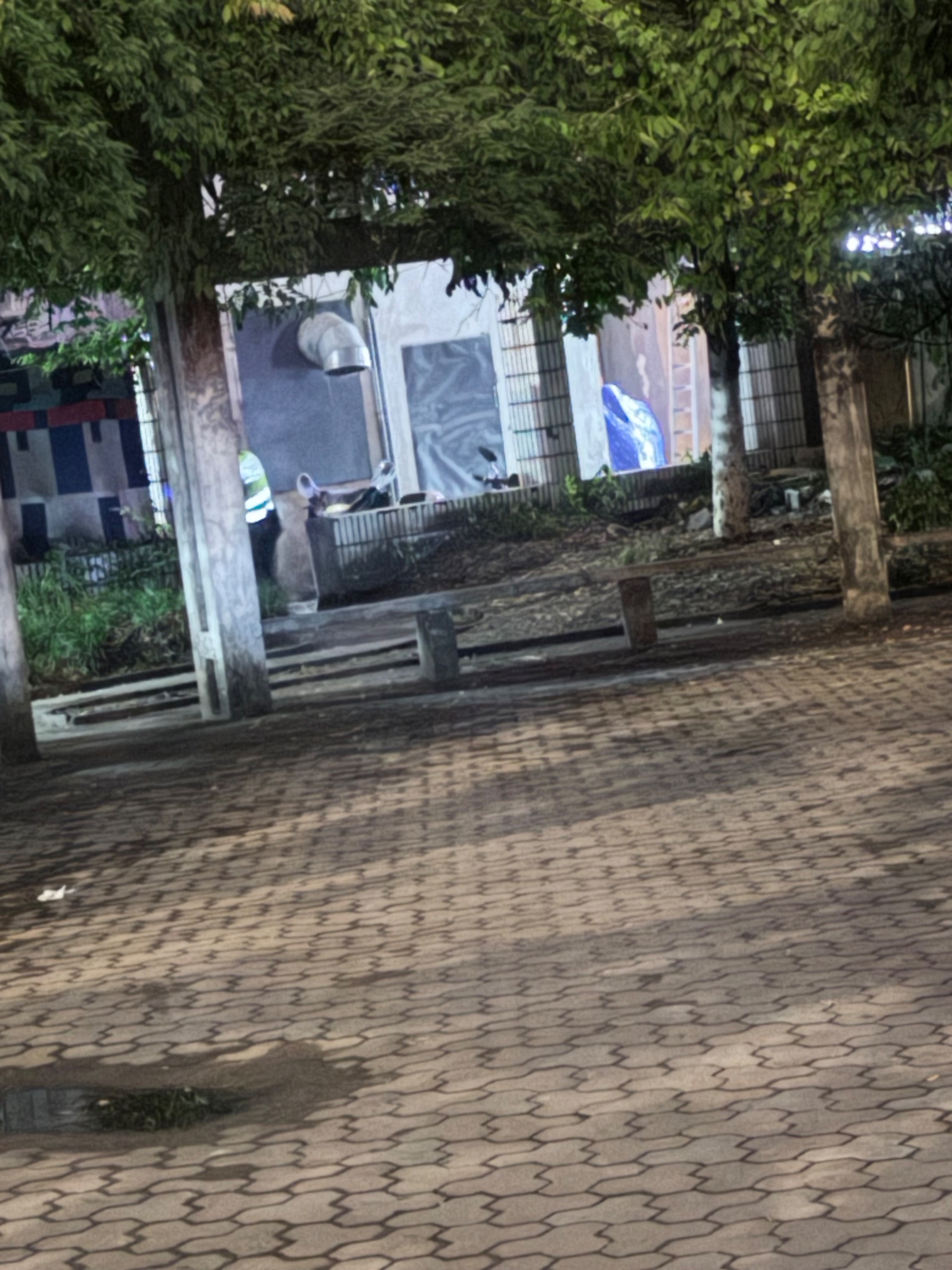 IMG_4331.jpeg