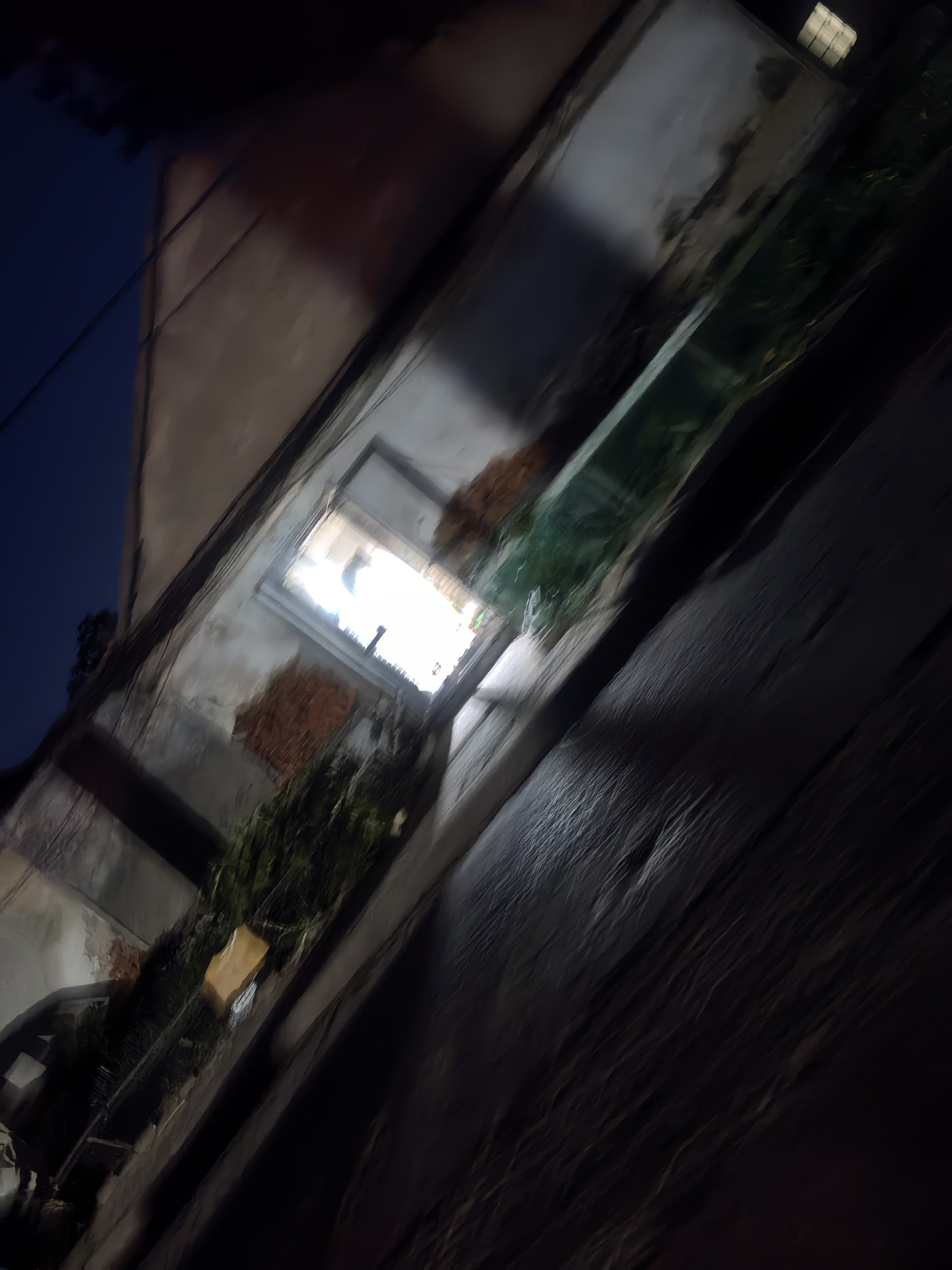 IMG_20250708_201952.jpg