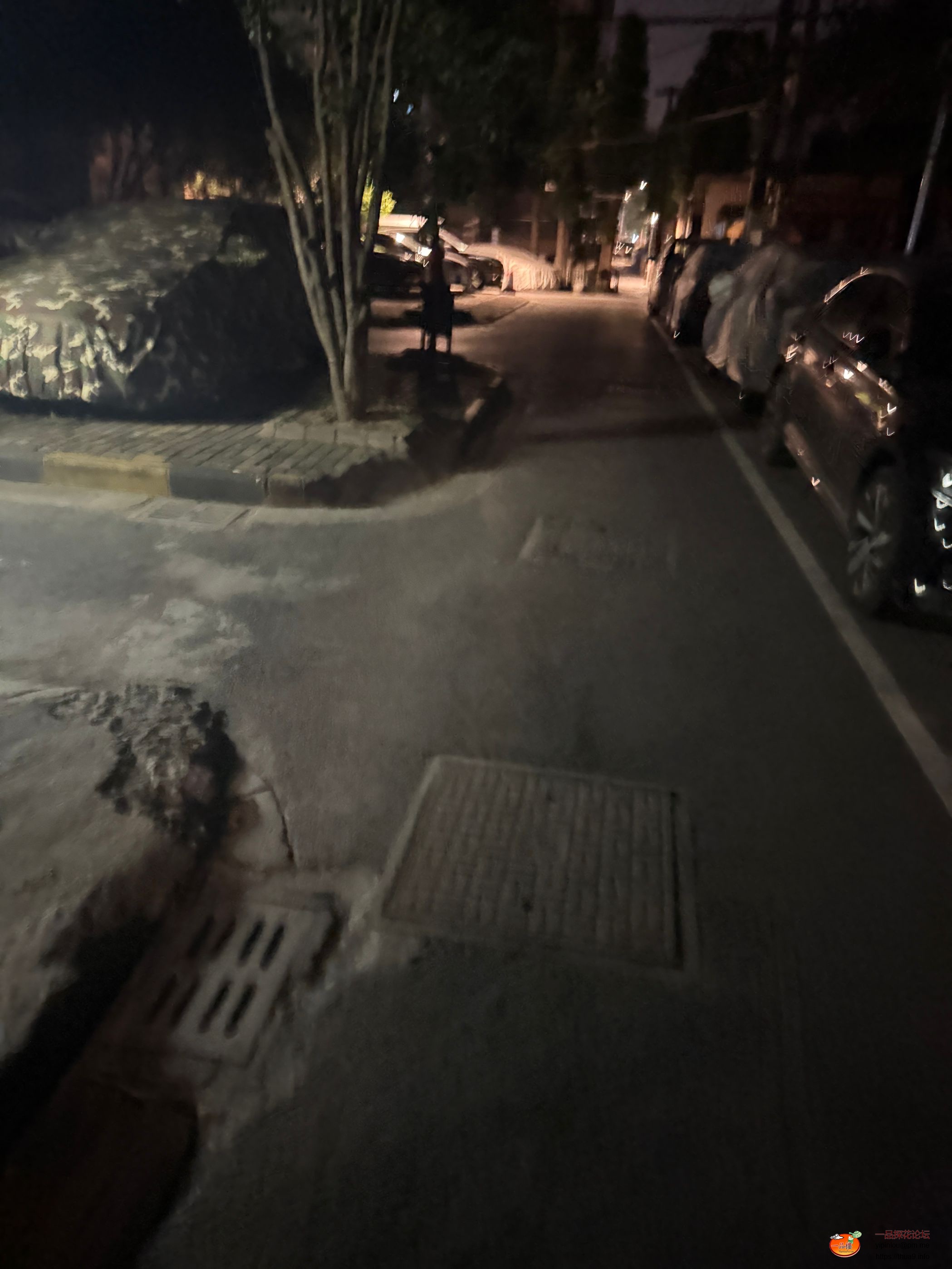 IMG_8576.jpeg