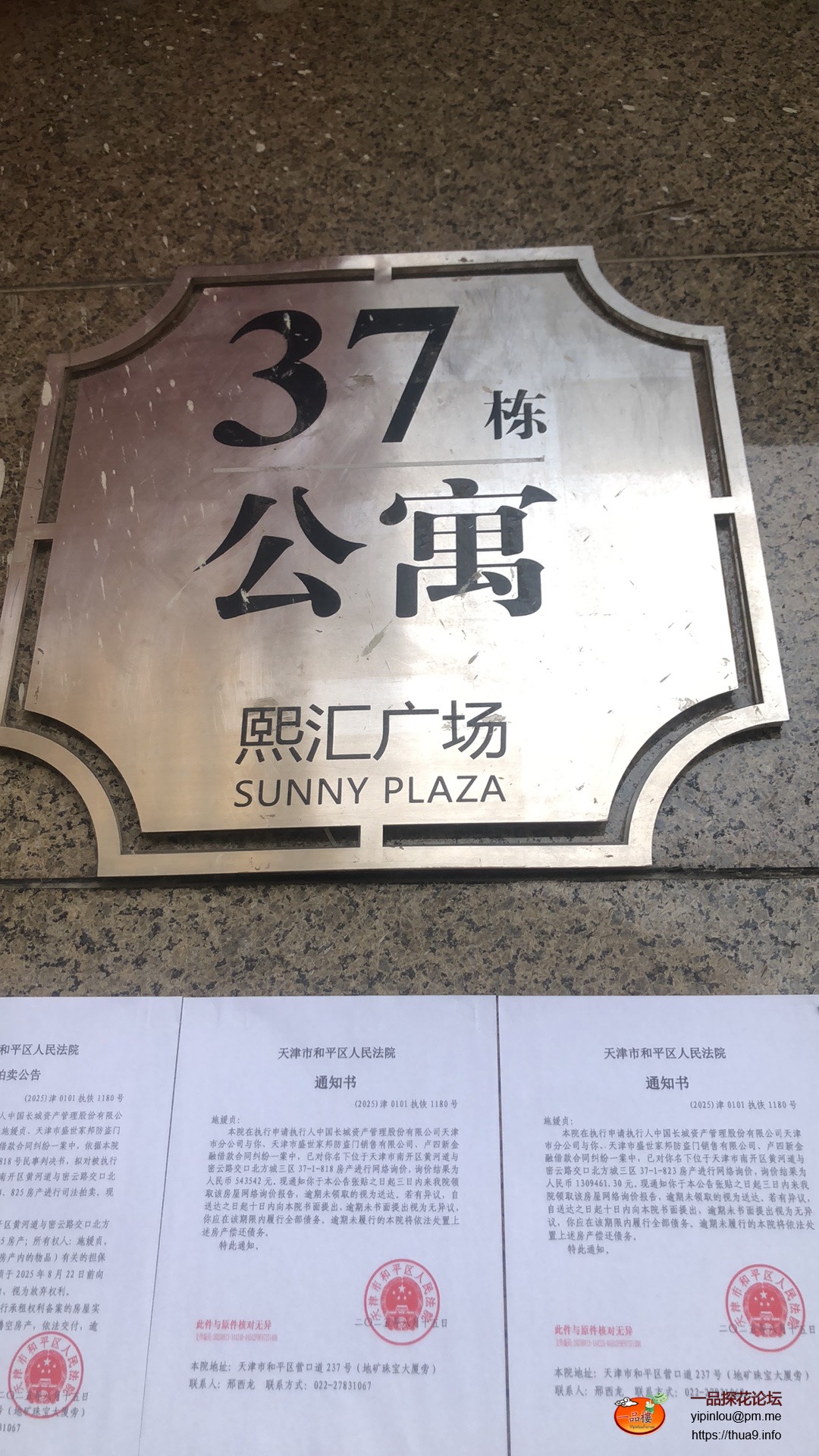 IMG_2919.jpeg