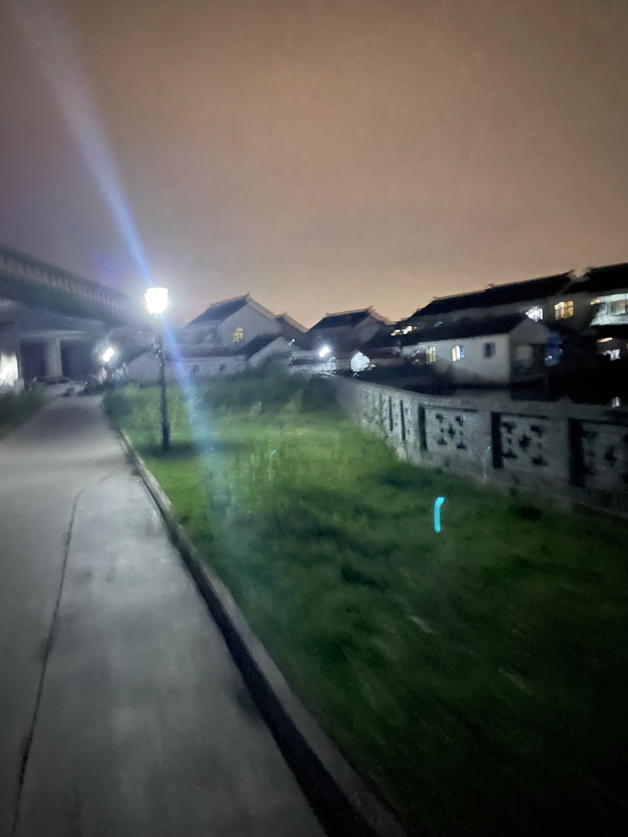 IMG_8169.jpeg