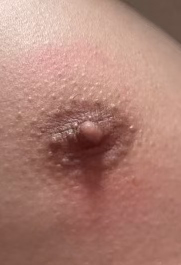 微信图片_20251111095942_117_215.jpg