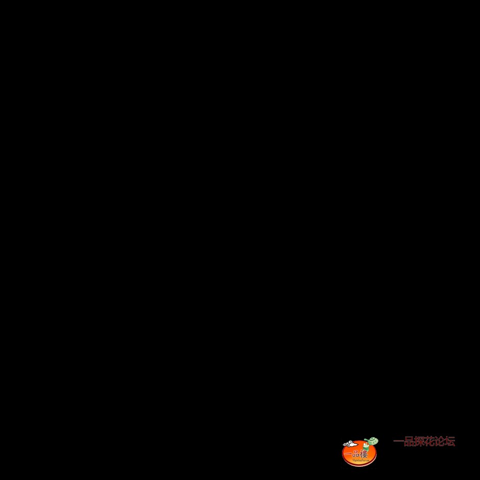 mmexport1762740435777.jpg