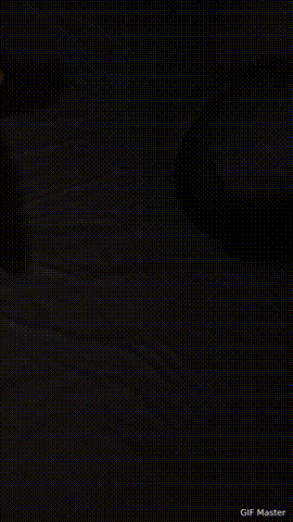 1766369389423.gif