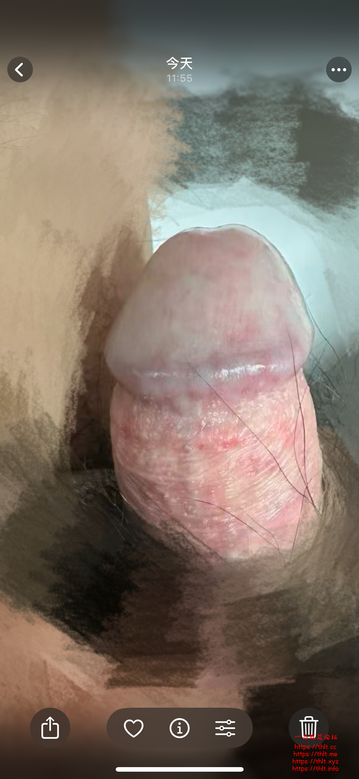 IMG_5213.png