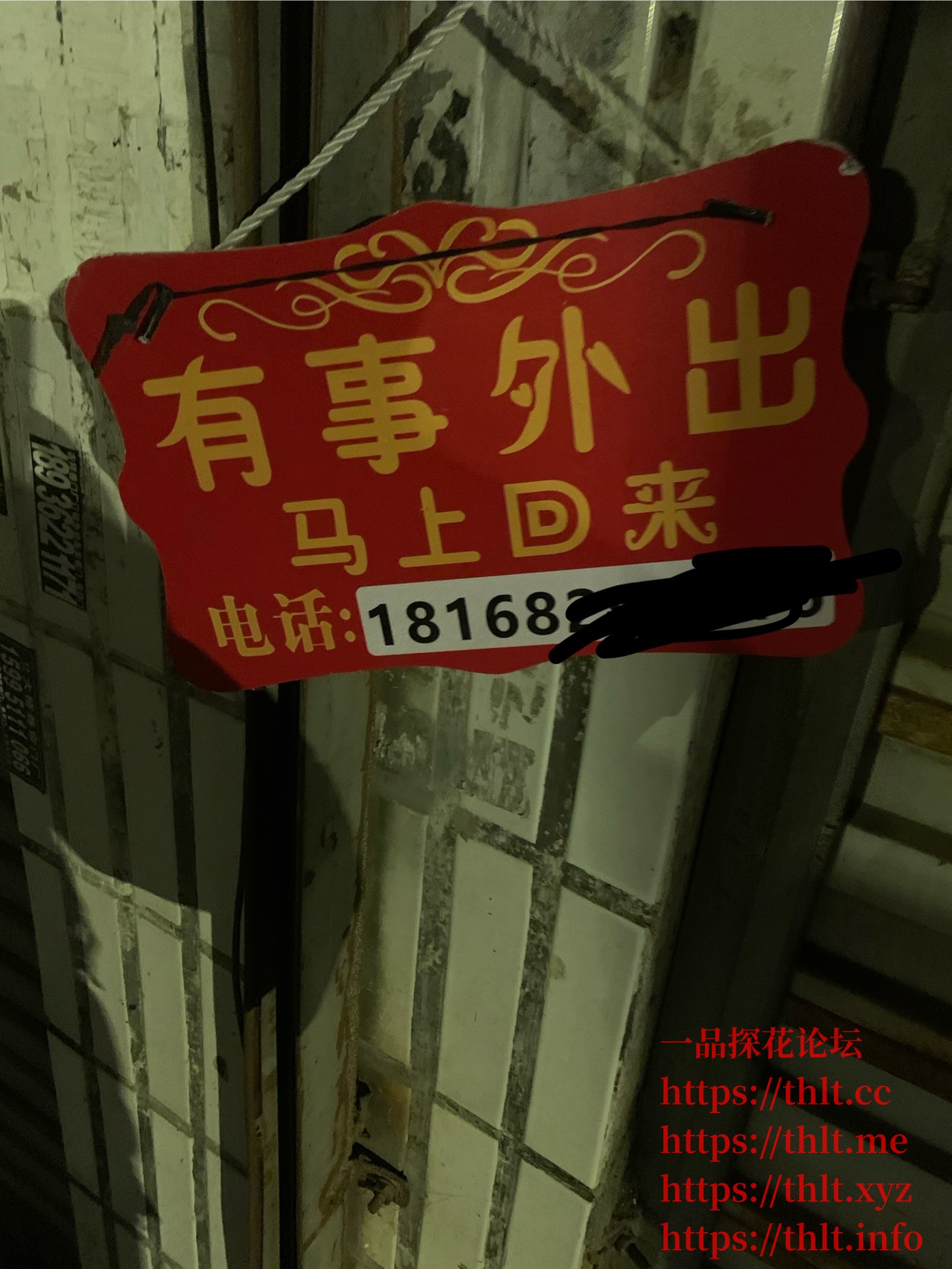 IMG_2086.jpeg