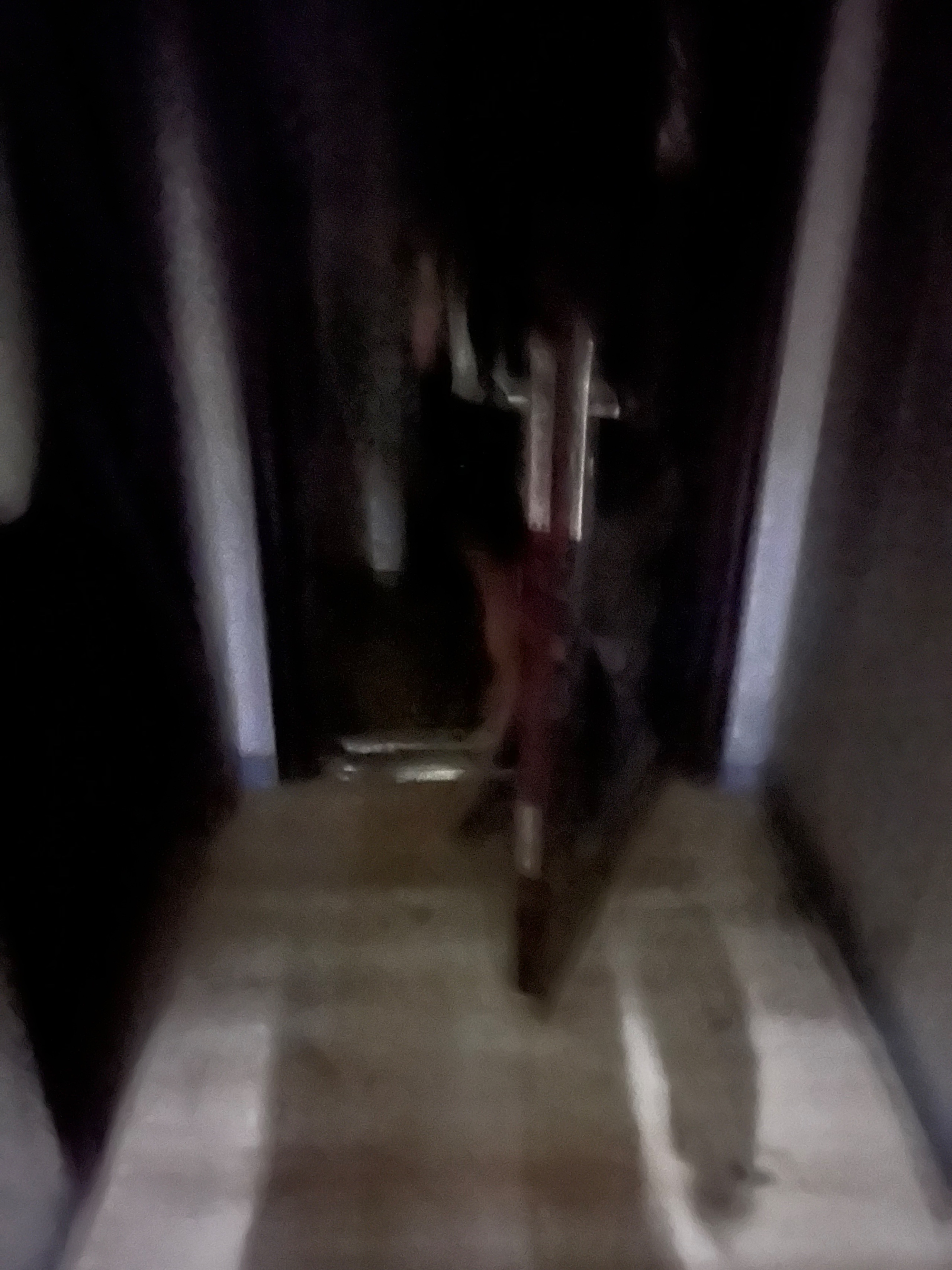 IMG_3354.jpeg
