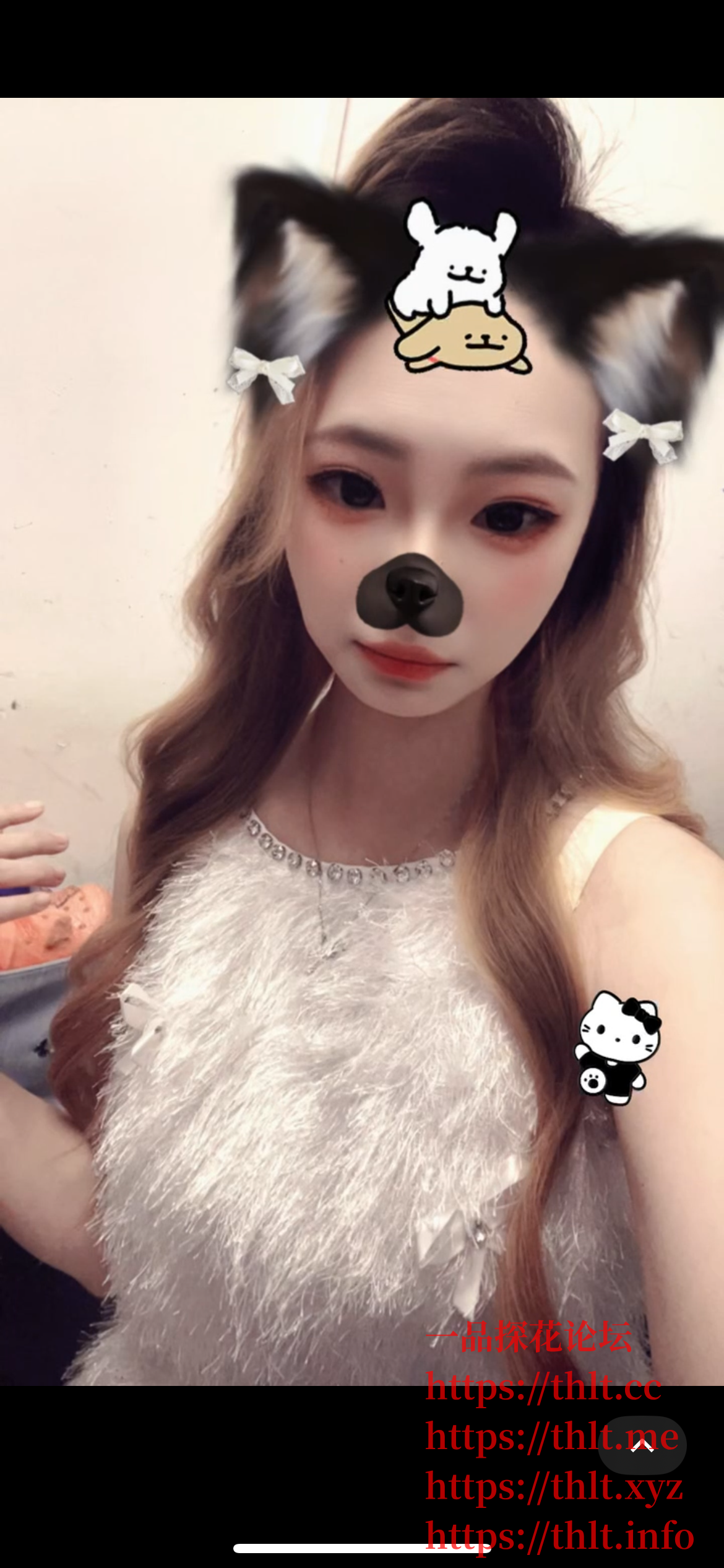 IMG_3732.png