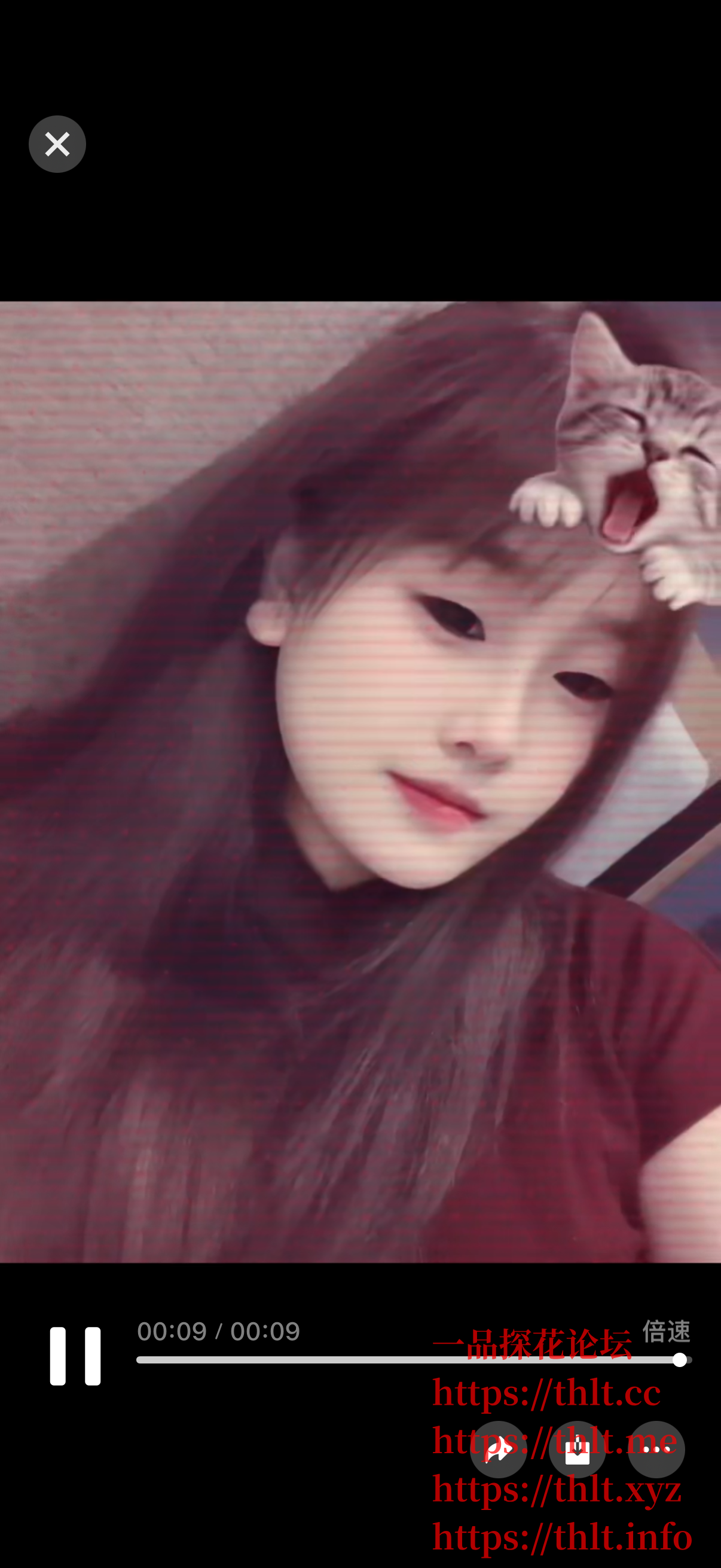 IMG_3132.png