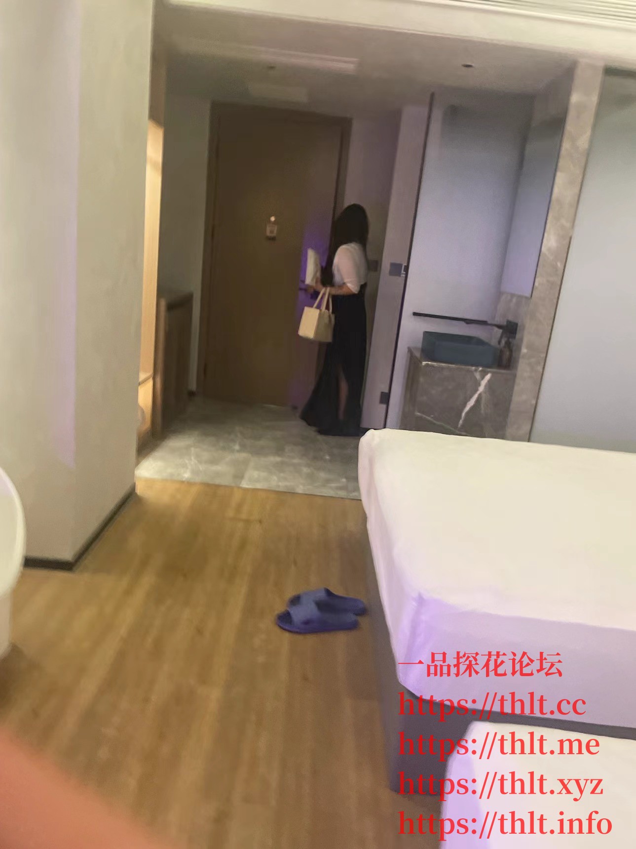色蓝传媒.jpg