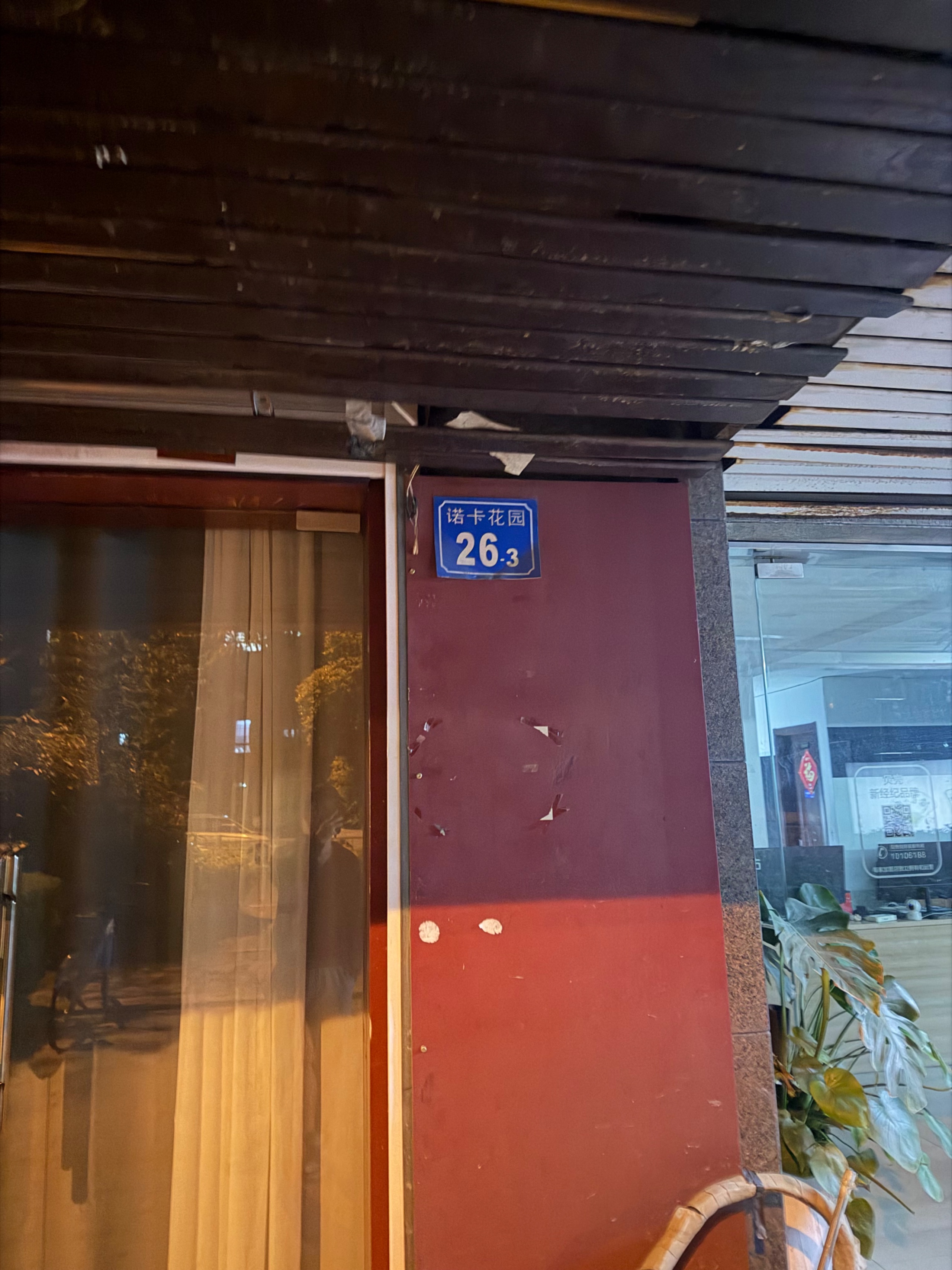 IMG_7905.jpeg